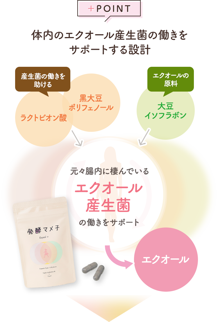 元々腸内に棲んでいるエクオール産生菌の働きをサポート